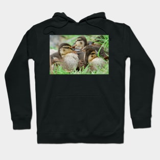 Duckling Hoodie